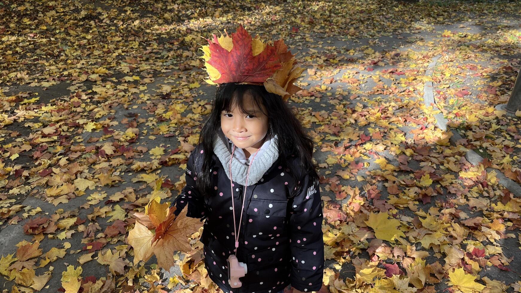 Indonesian little girl in wearing padded jacket using a wreath of maple leaves in the autumn park. Asian little girl wearing maple leaves crown. photo