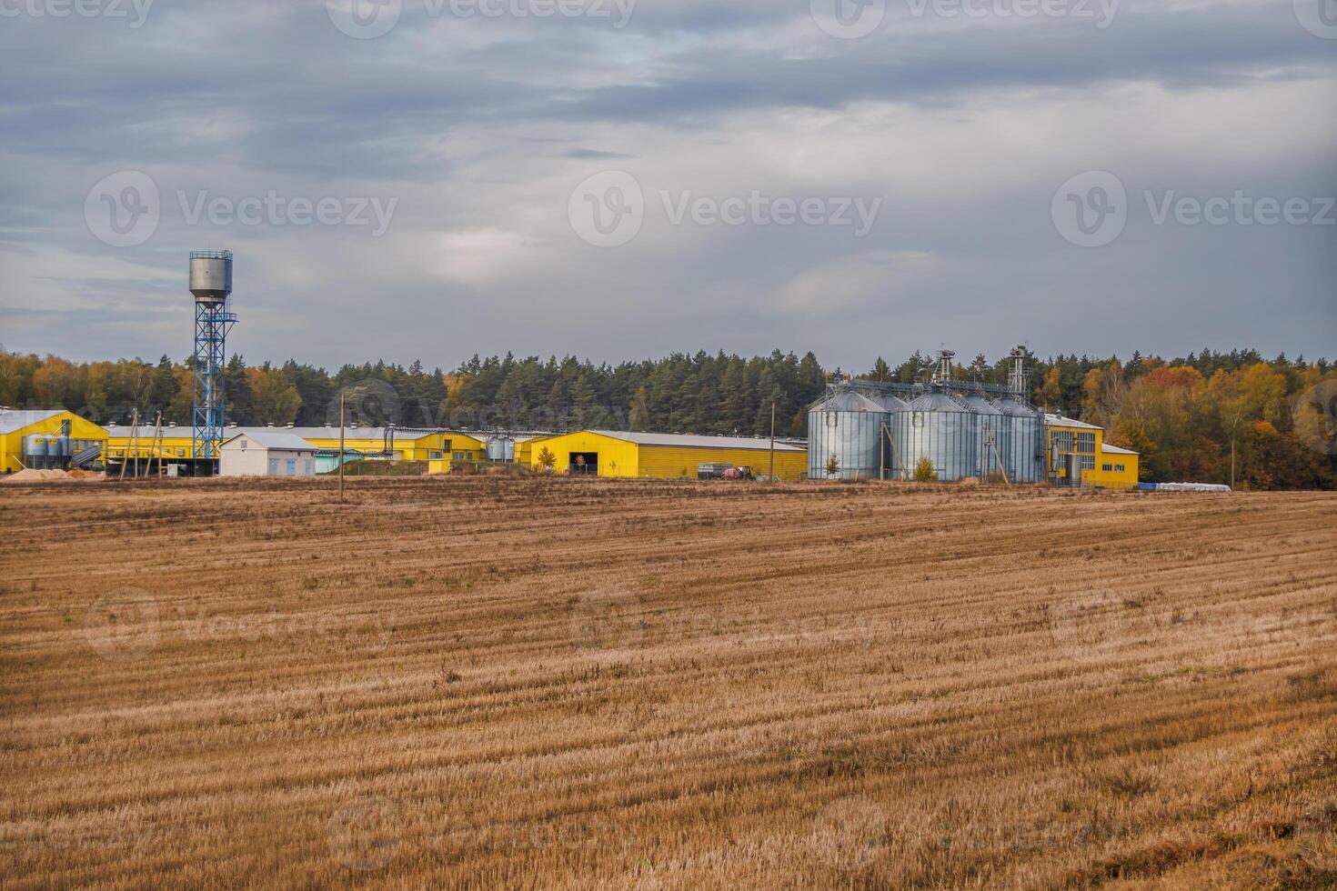 large grain elevator with multiple cylindrical metal silos, structural elements, and a complex system of pipes. It stands against a blue sky, with a field in the foreground after harvest photo