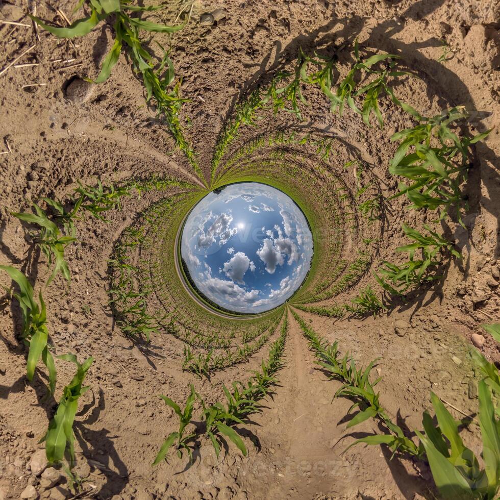 blue hole sphere or globe little planet inside green dry grass frame background photo