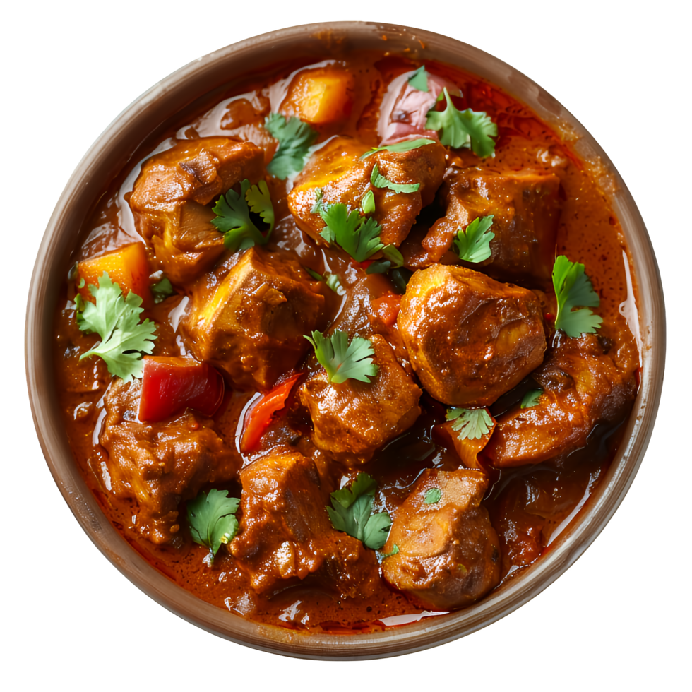 A bowl of meat stew with cilantro on top png