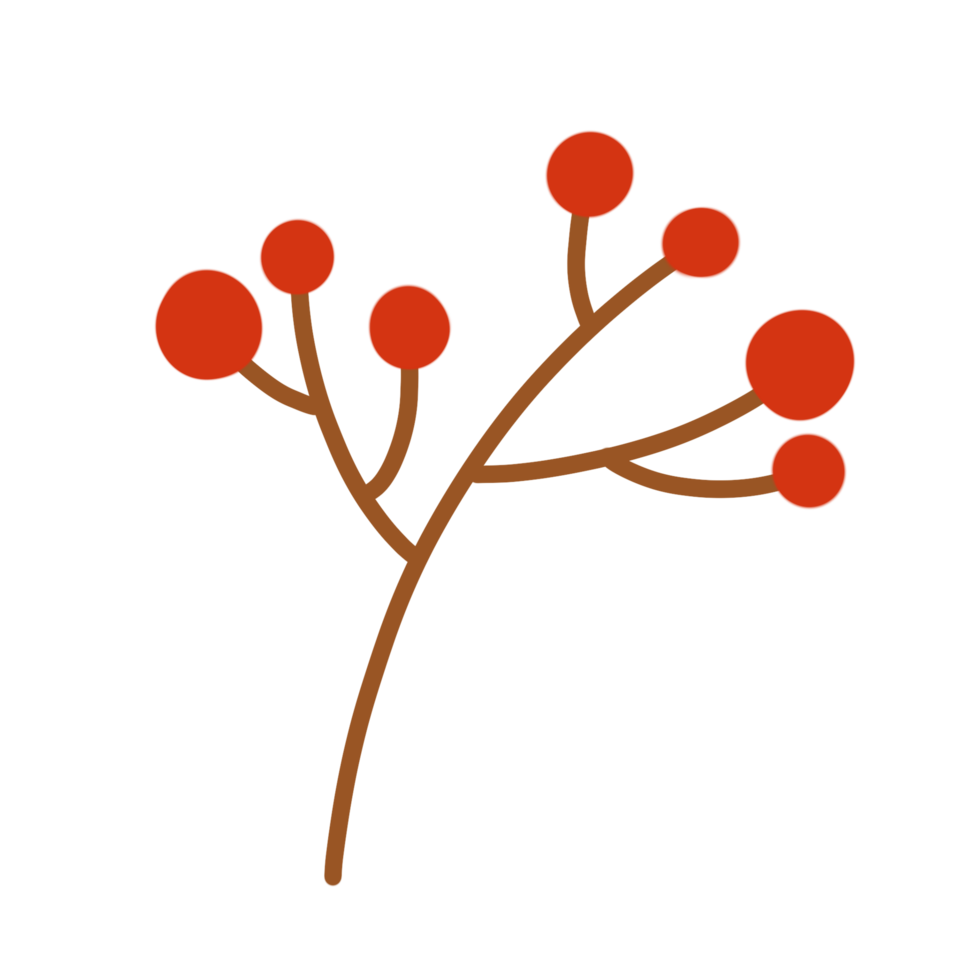 a red and brown branch with berries on it png