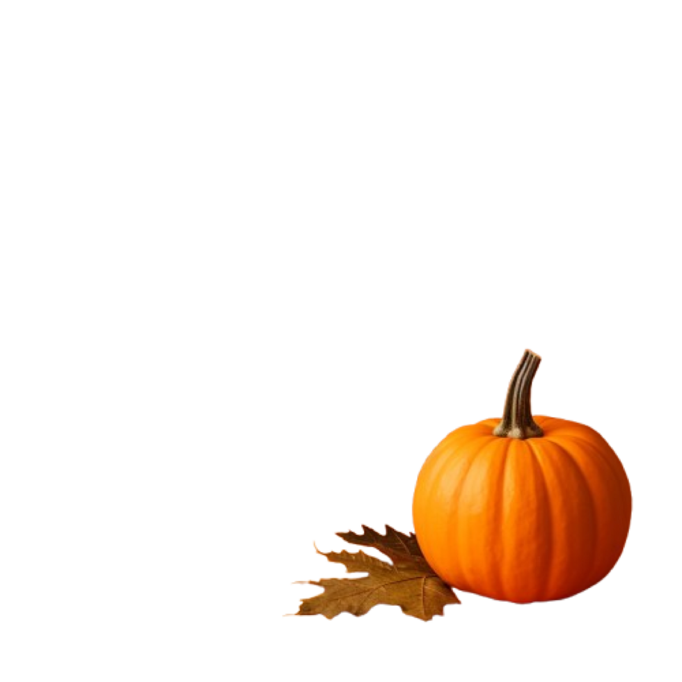 pumpkin with leaf on transparent background png