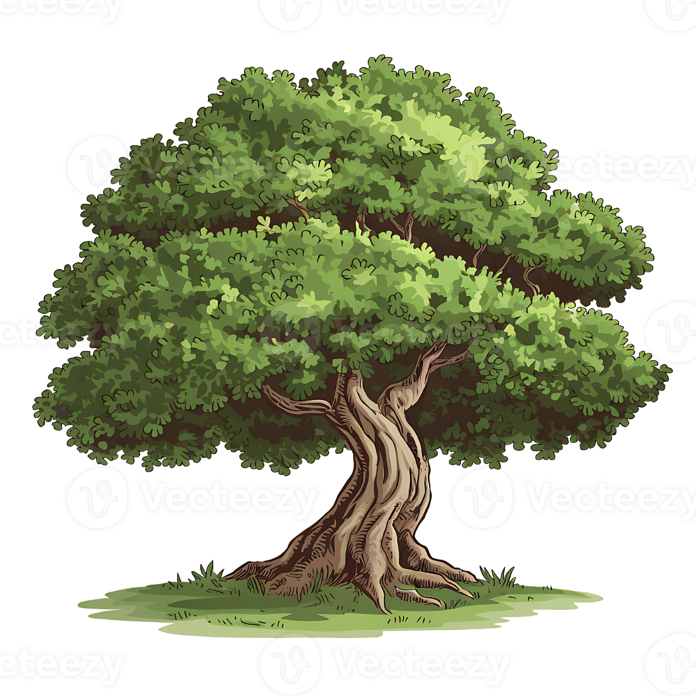 tree with a thick trunk and sprawling branches isolated on transparent background png