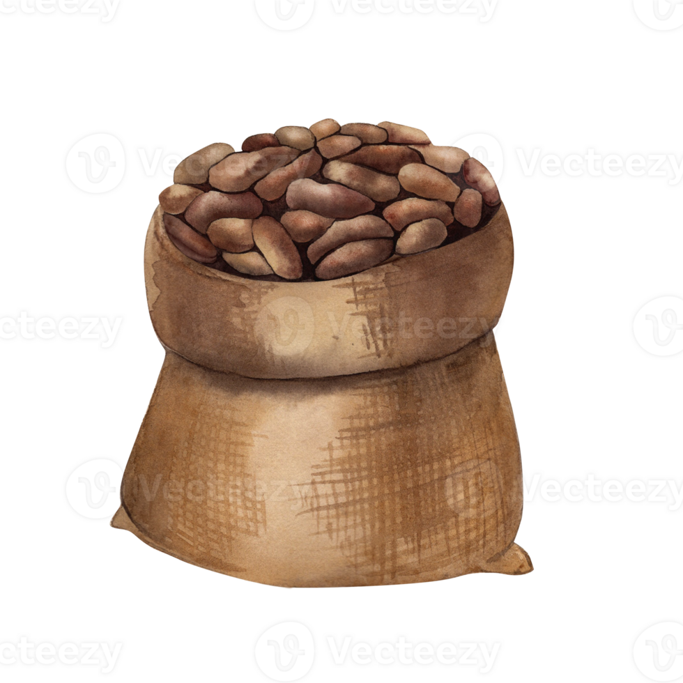 Cocoa beans in burlap watercolor illustration. A hand-painted jute bag with brown grains and seeds for the design of chocolate packaging, cosmetics, and a cafe menu, postcards in a botanical style png