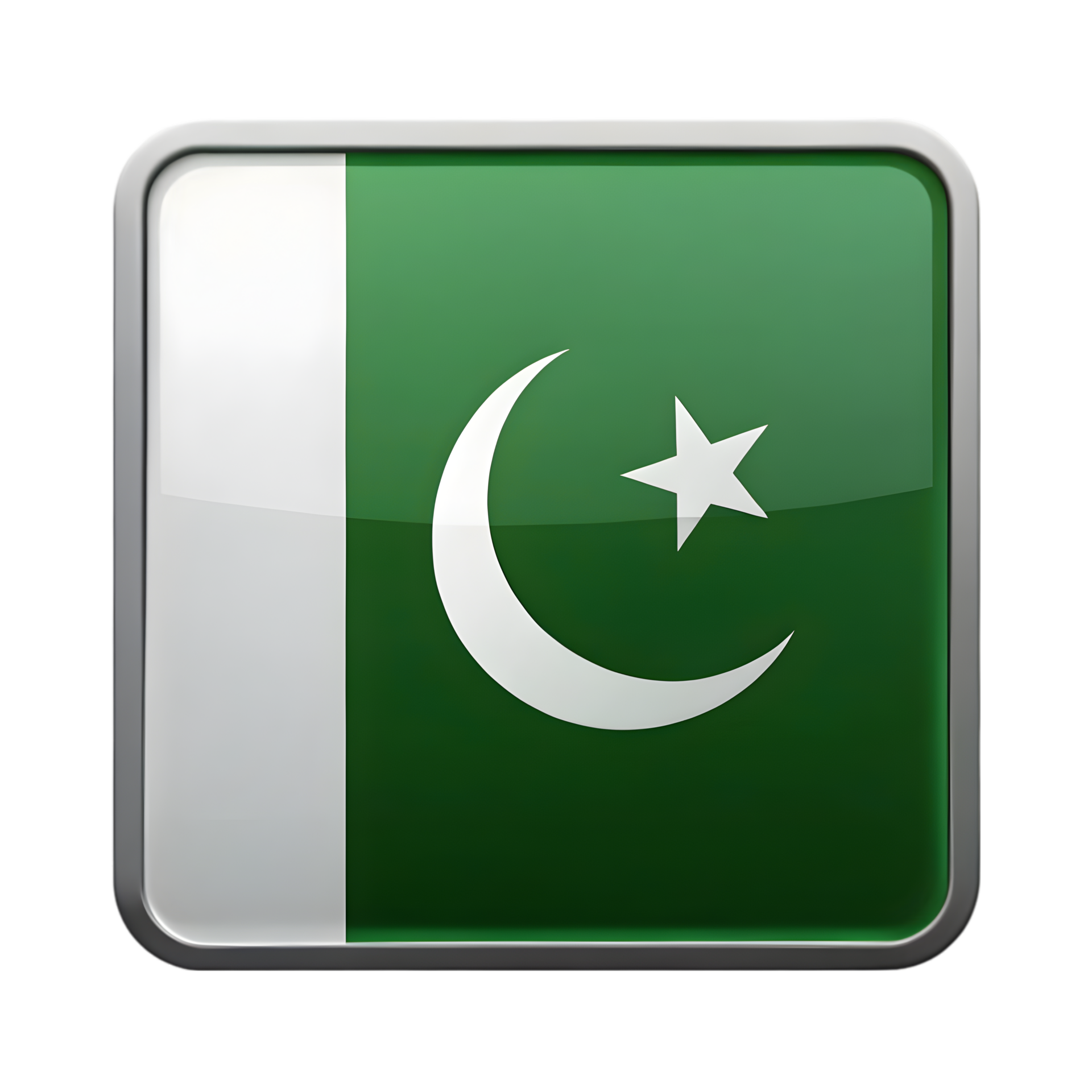 3D Pakistan Flag Icon in Rectangle Shape for National Celebrations and