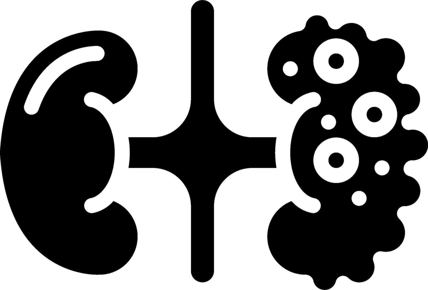 An illustration of a kidney and a kidney vector
