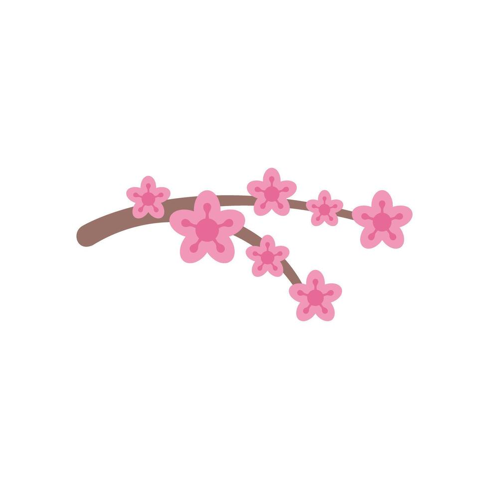 Branch of cherry tree blooming with pink flowers vector