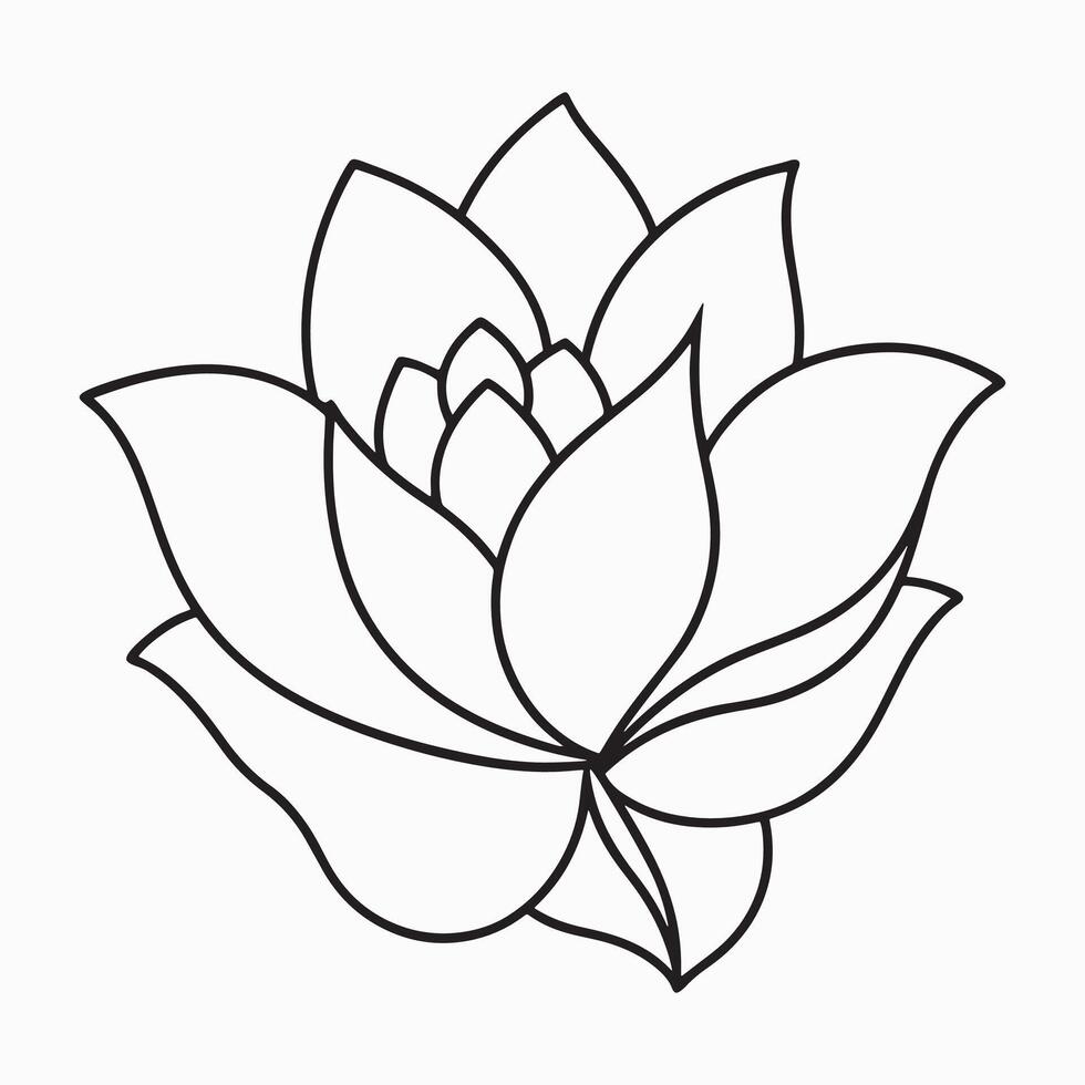 Beautiful floral illustration art vector