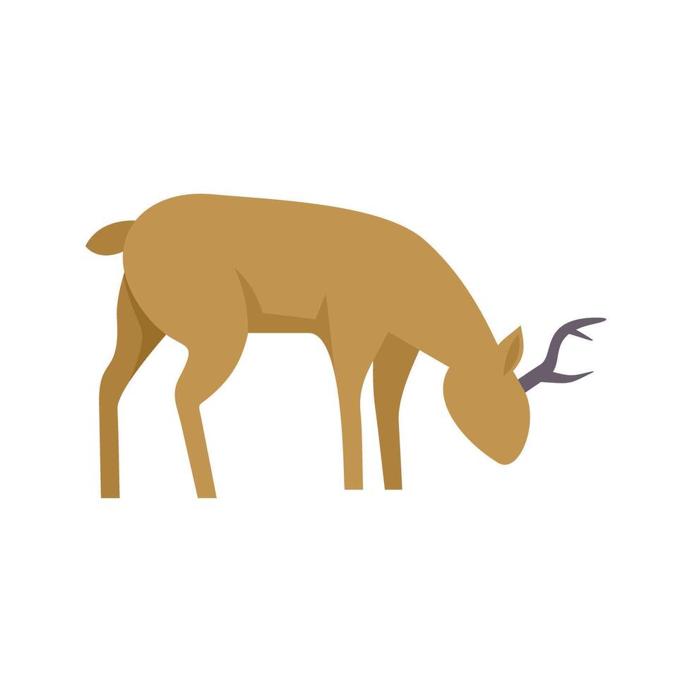 Wild brown deer grazing grass in nature vector
