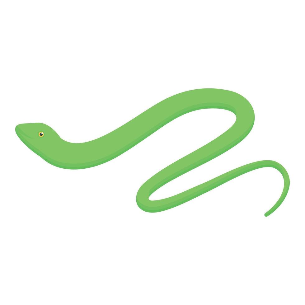 Green mamba snake slithering on white background vector