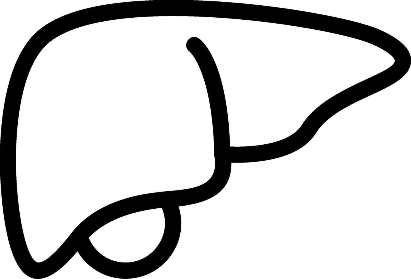 Liver Line Icon vector