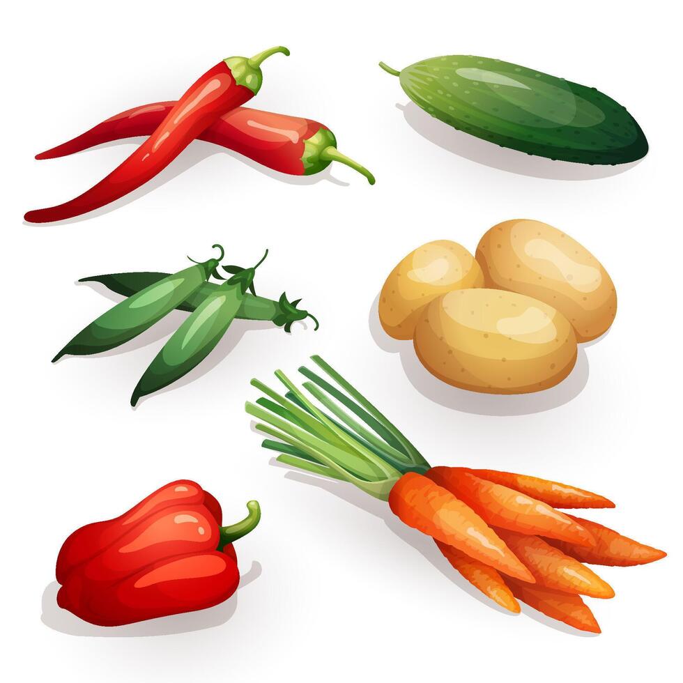 Set of various fresh vegetables including chili and bell peppers, cucumber, green peas, potatoes and carrots. vector