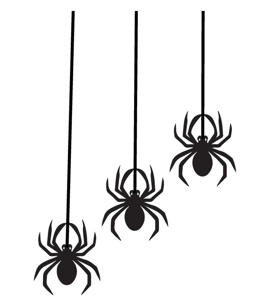 spider in the web black and white silhouette, for backgrounds and designers vector