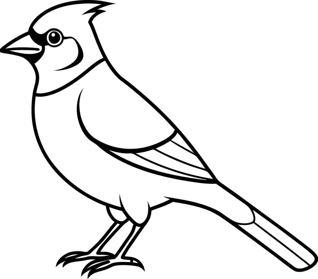 bohemian waxwing line art vector