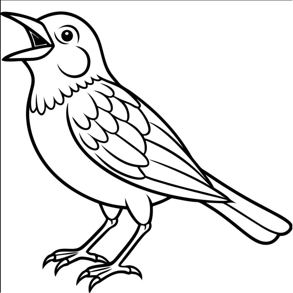 dunnock bird laughs icon vector