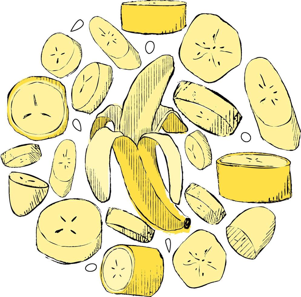 Graphic hand made illustration of bananas and slices. Funny circle round composition. Food preparation and kitchenware. doodle clipart. Let's cook. vector