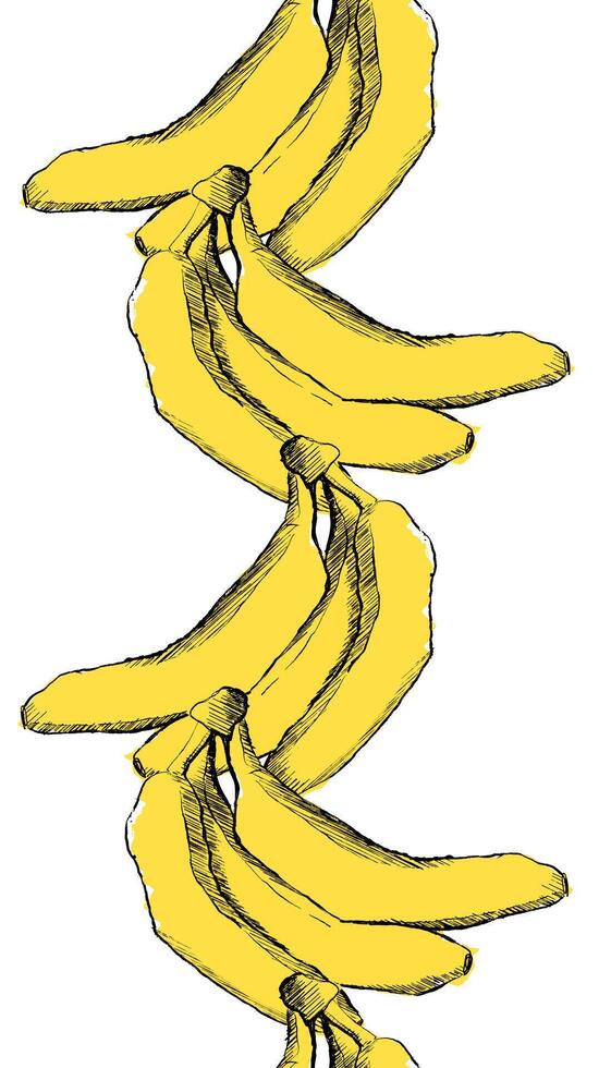 banana seamless pattern vertical border for tropical banner design. Banana background. graphic hand-drawn crayons fruit backdrop. Bananas ornament. vector