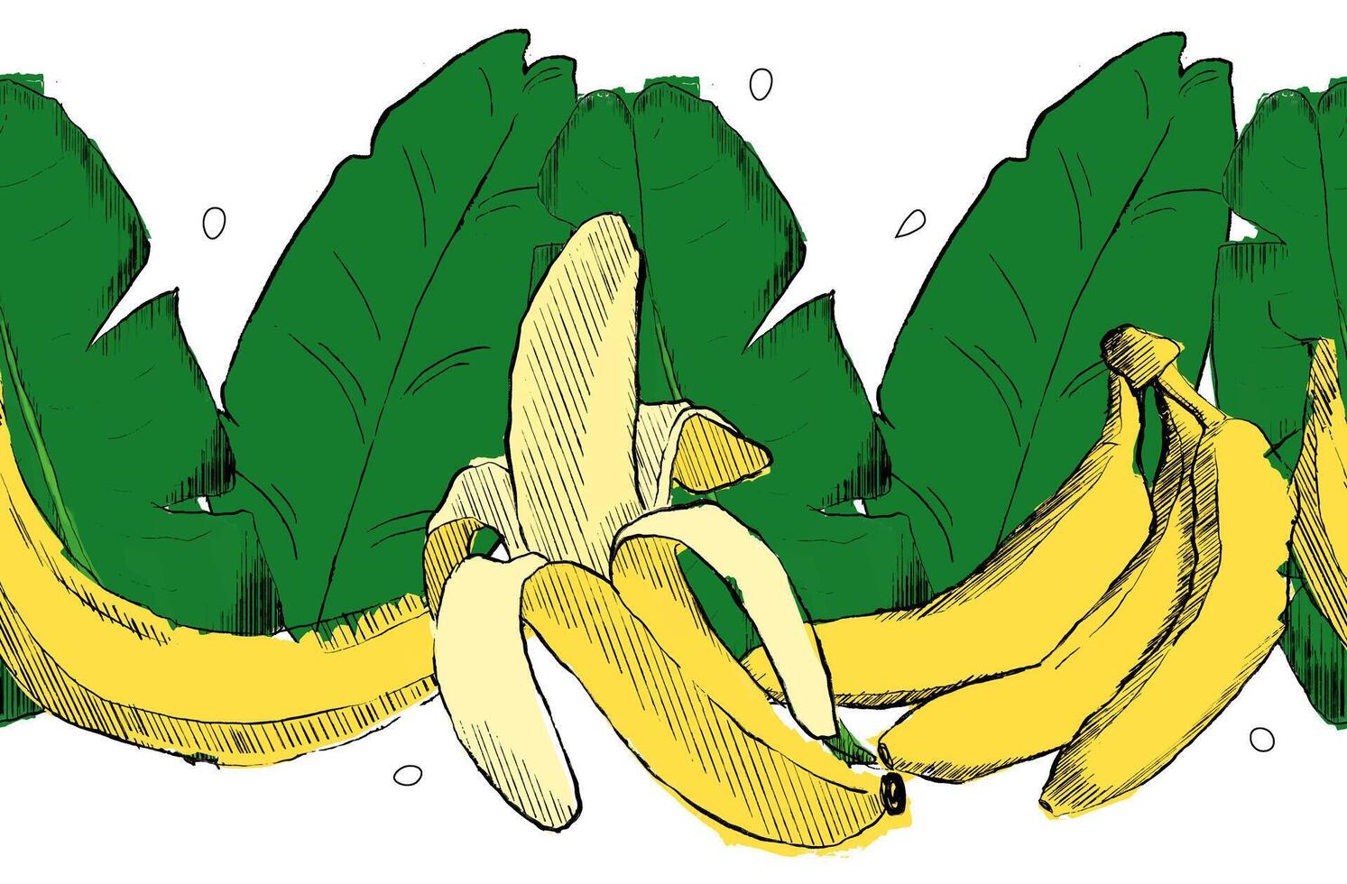 Graphic banana yellow fruit seamless border with leaves. Hand drawn illustration. Tropical fruit. Packaging design, menu design, juice packaging. Banana pattern vector