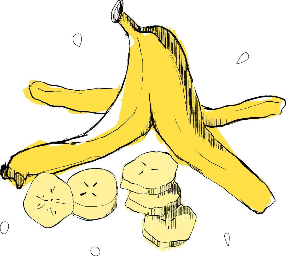 Banana graphic composition with banana skin and slices for serving illustration vector