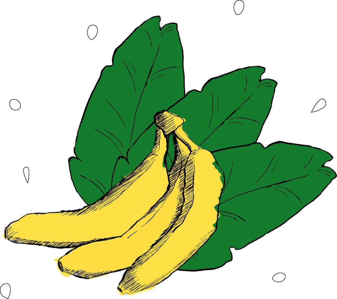 vintage composition with exotic banana and leaves. Graphic illustration. Perfect for wallpapers, web page backgrounds, surface textures, textile. vector
