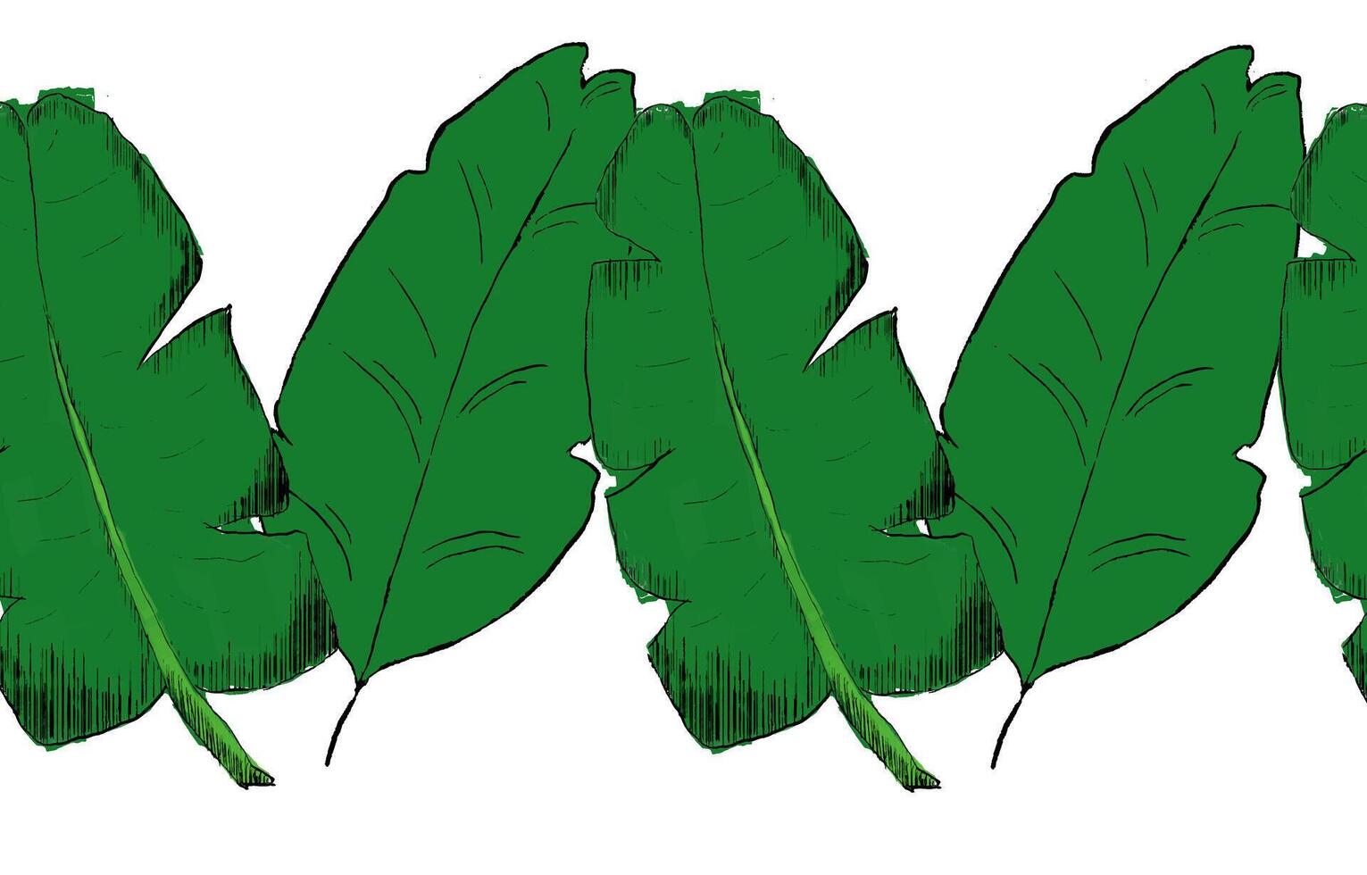 Jungle Banana leaves seamless border graphic plants botanical illustration vector