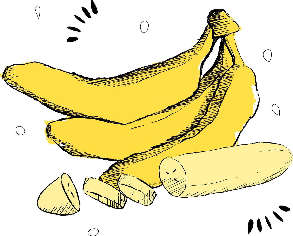 Three bananas with slices forming a composition are isolated on a white background. graphic illustration vector