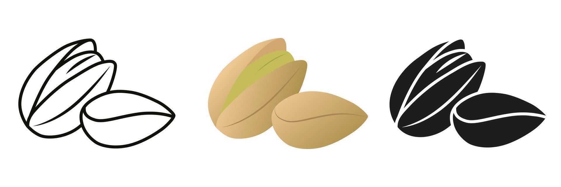Pistachio nut. Illustration of pistachio nuts in different styles. Nut for your advertising. vector
