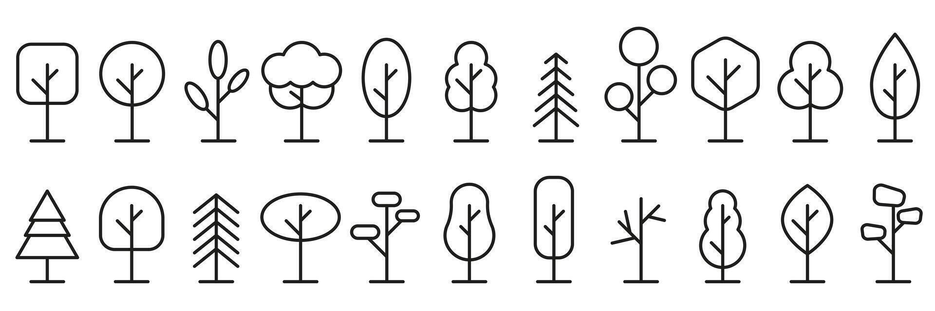 Line drawn trees. A collection of tree illustrations. Wood for every taste. vector