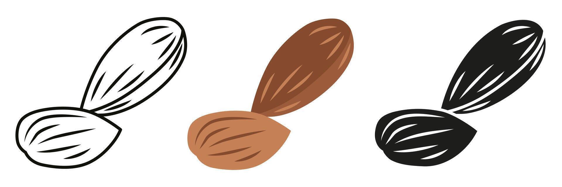 Almond nut. Almond illustration in different styles. Almond is a nut for your advertising. vector