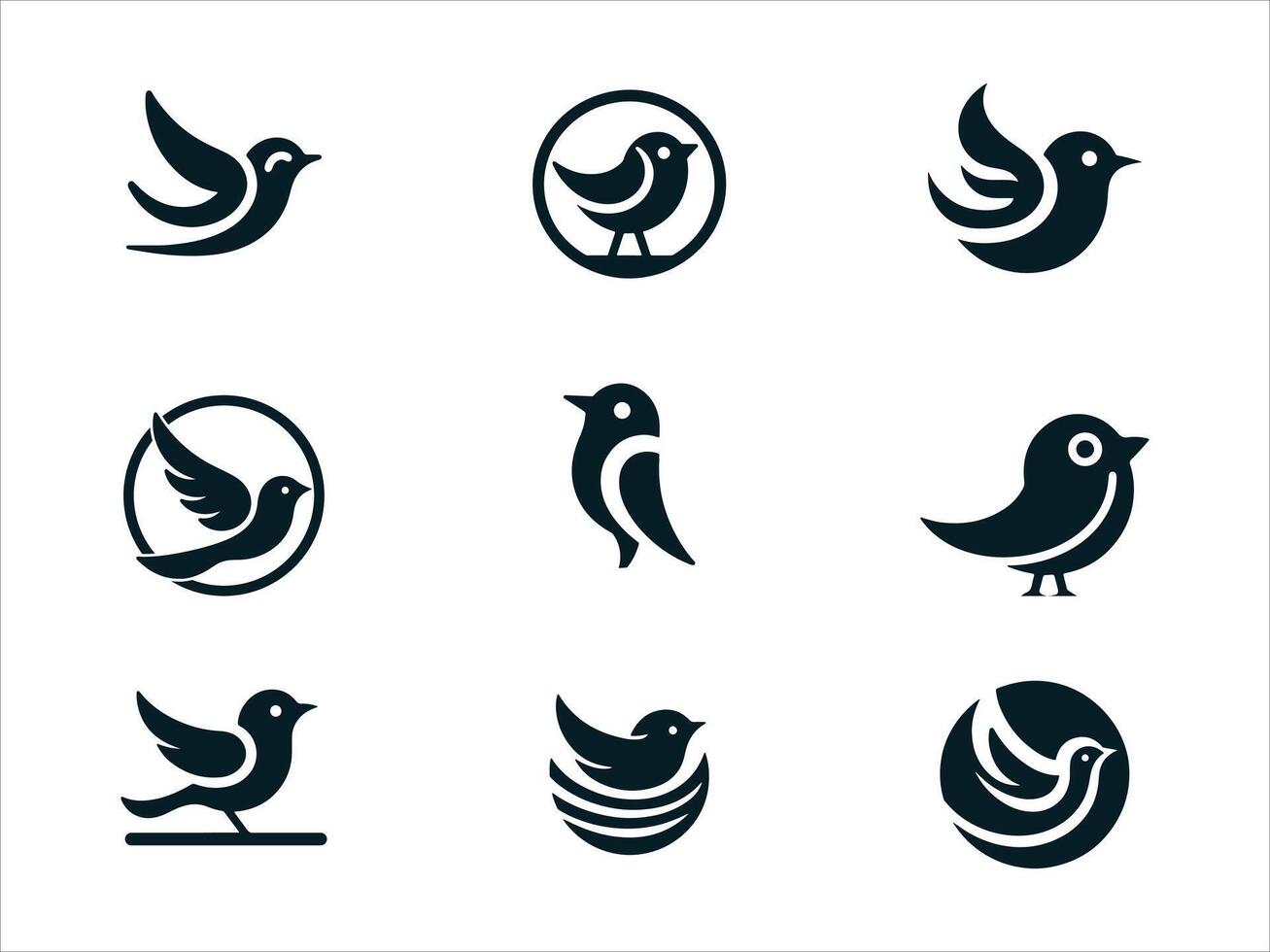 Bird logo design. vector