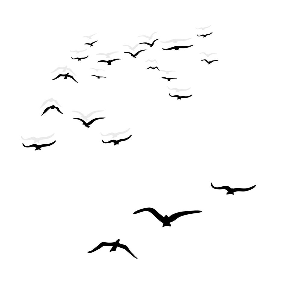 birds fly high in a flock vector