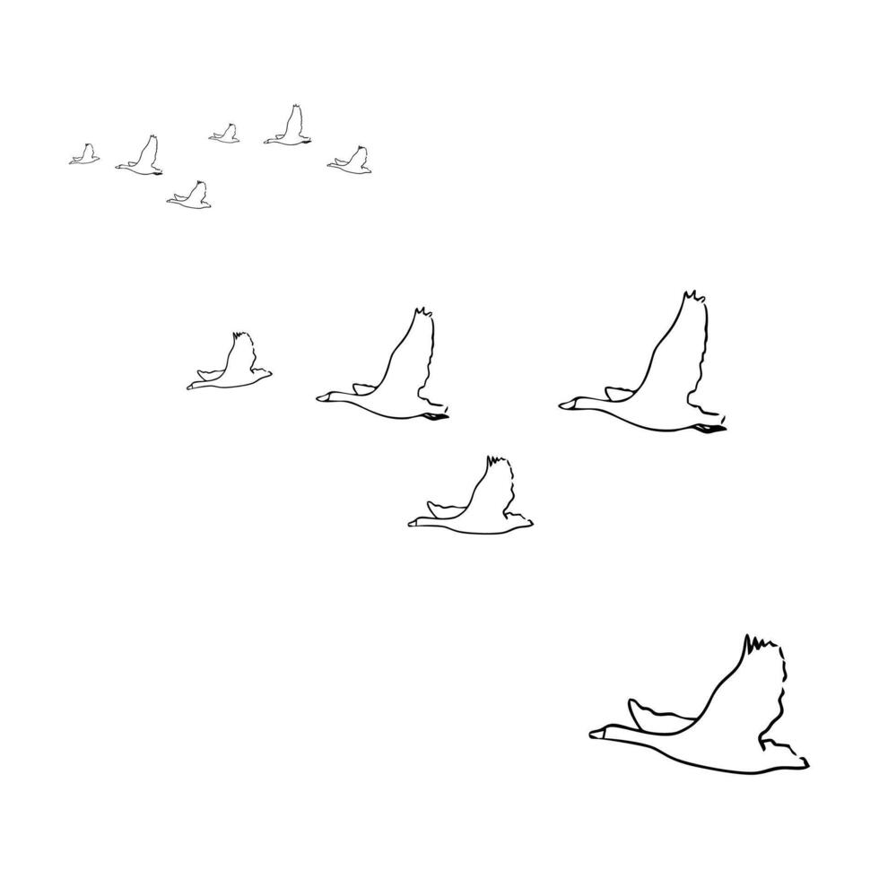 Ducks are flying vector