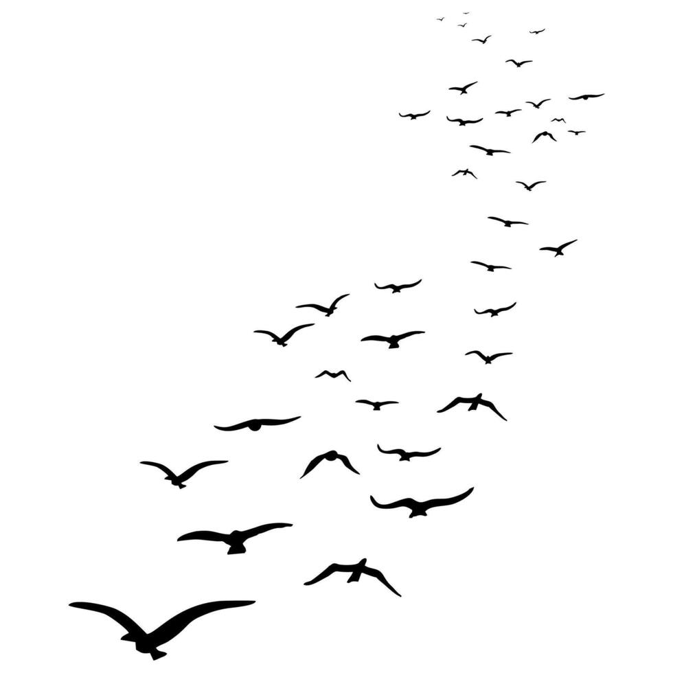 Birds fly high vector