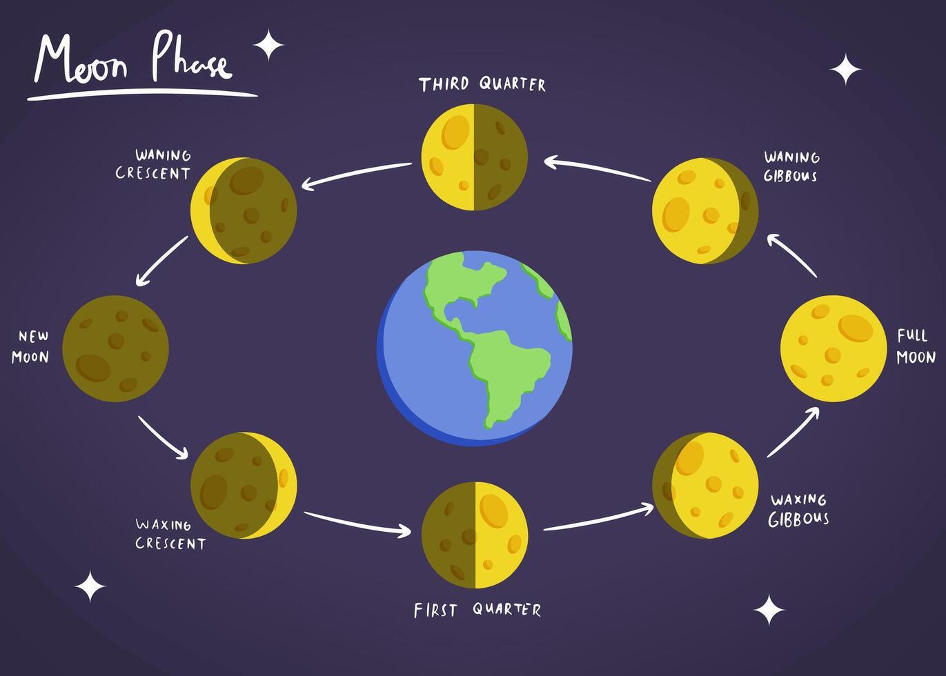Illustrated diagram of the moon phases around Earth, showing each stage from new moon to full moon, including waxing and waning crescents and gibbous phases. Ideal for educational content on astronomy vector