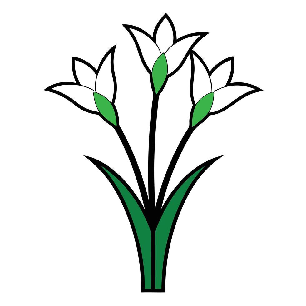 Bunch of Tuberose of the Valley in a Vase with Black Outline vector