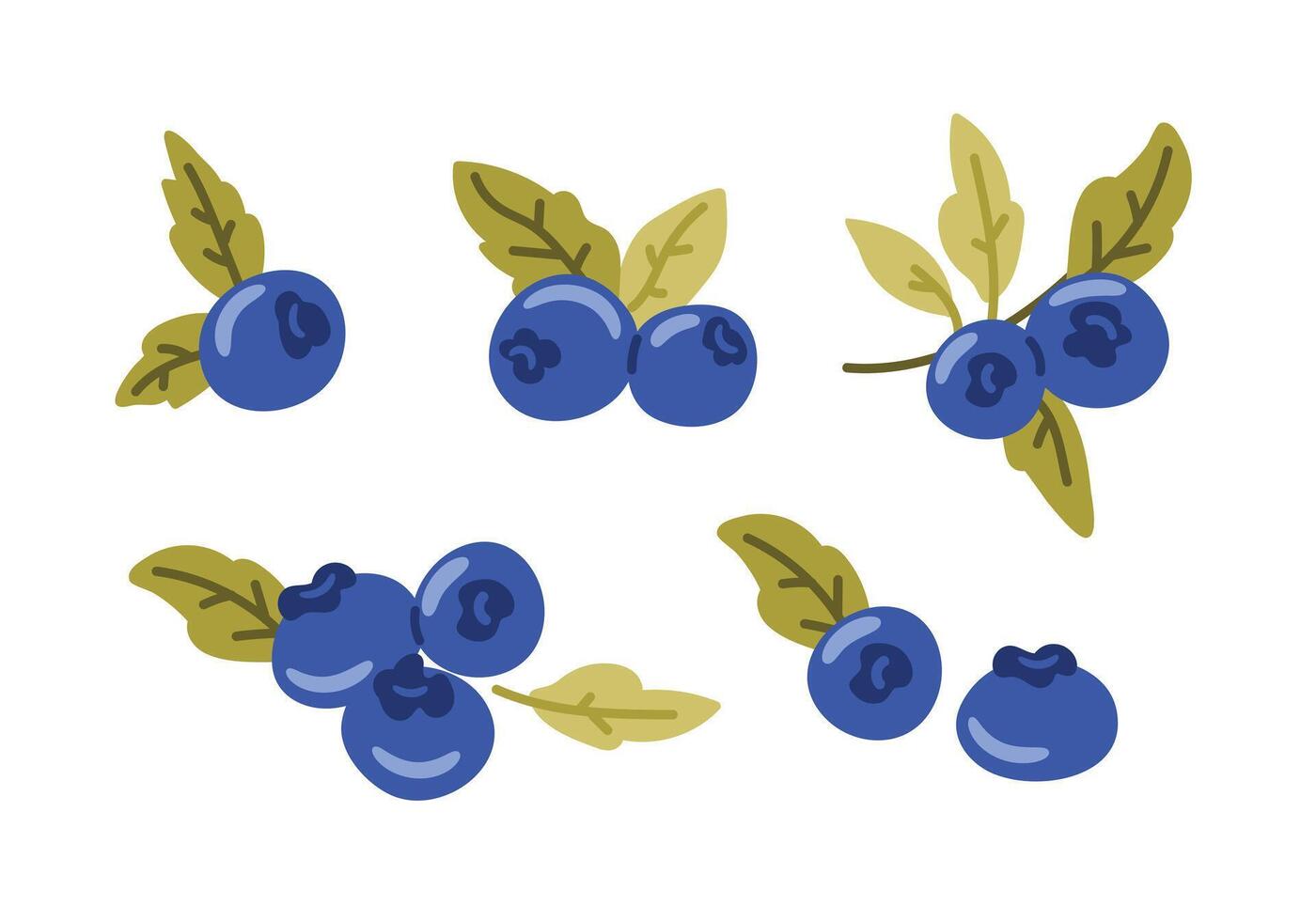 Set of blueberry fruits with green leaves, composition of marsh berry, natural nutrition, vitamin. Flat illustration on white background vector