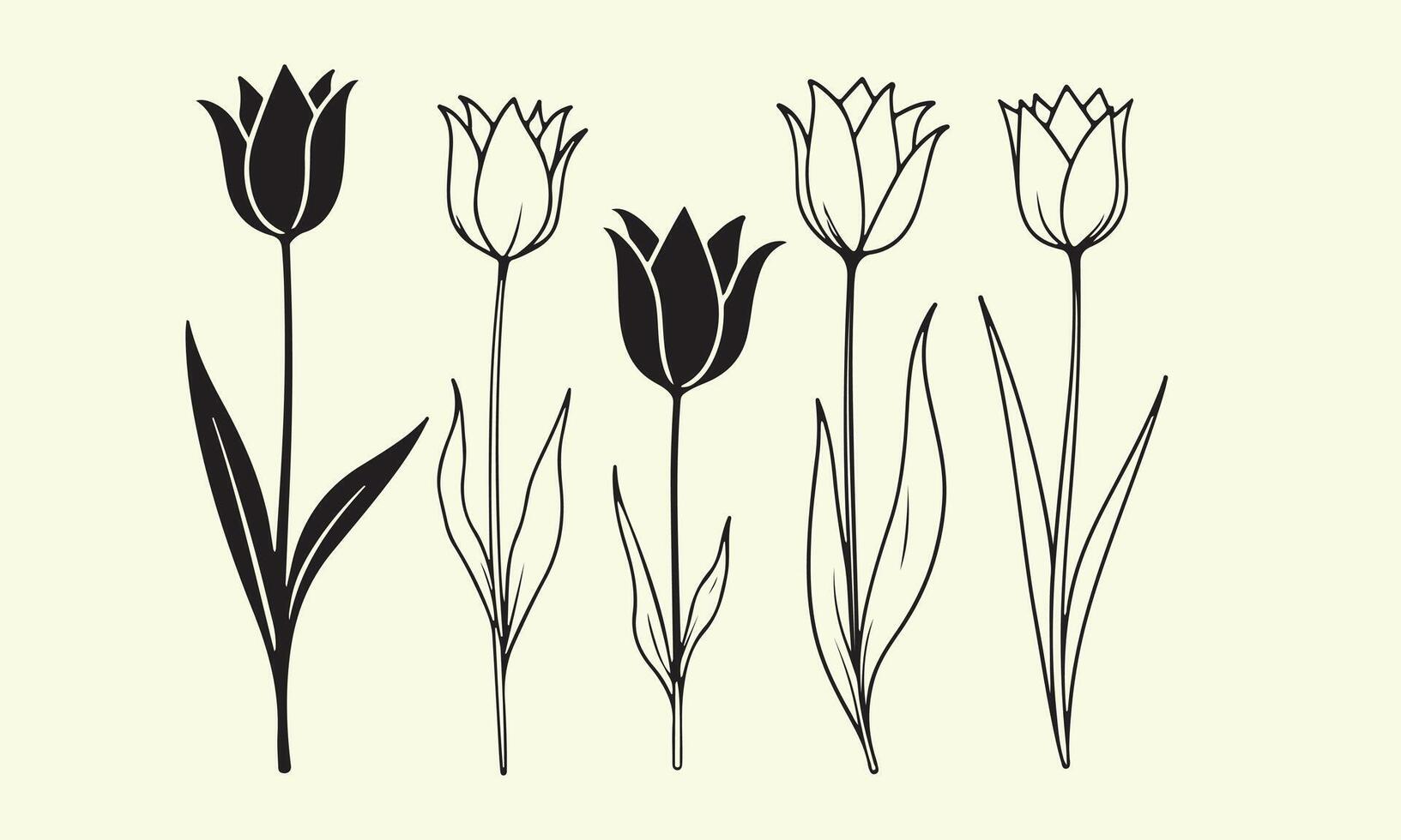 Five Black and White Tulip Flower Illustrations vector
