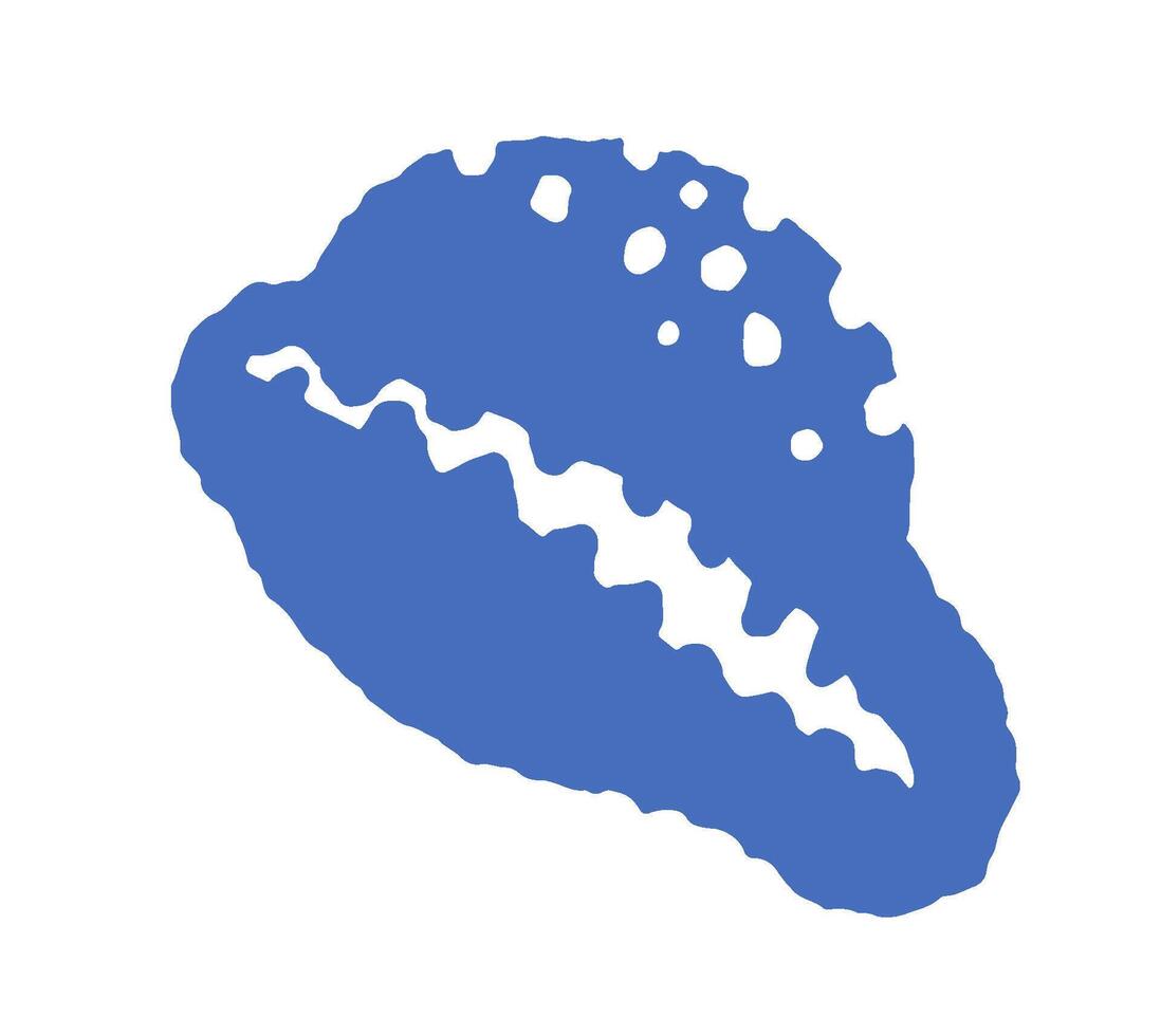 Abstract Blue Seashell Illustration vector