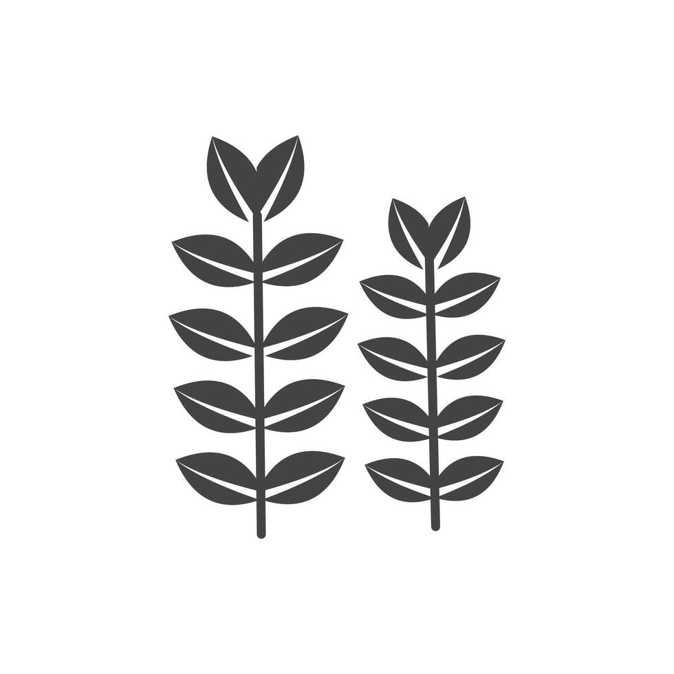 Wheat icon Symbol mark in filled style vector