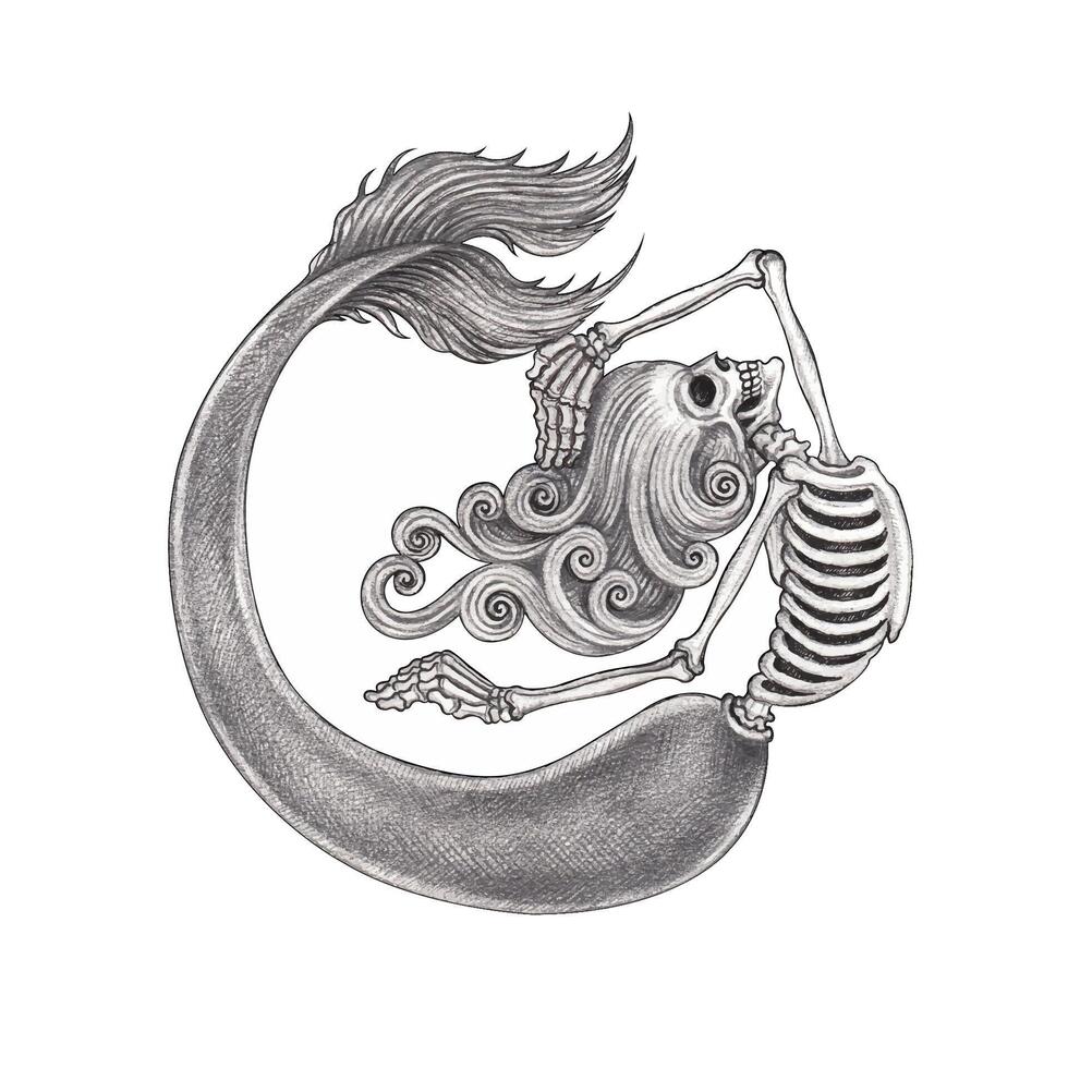 Eternal Siren skeletal mermaid This artwork depicts a skeletal mermaid in a graceful pose, blending beauty with the macabre. vector