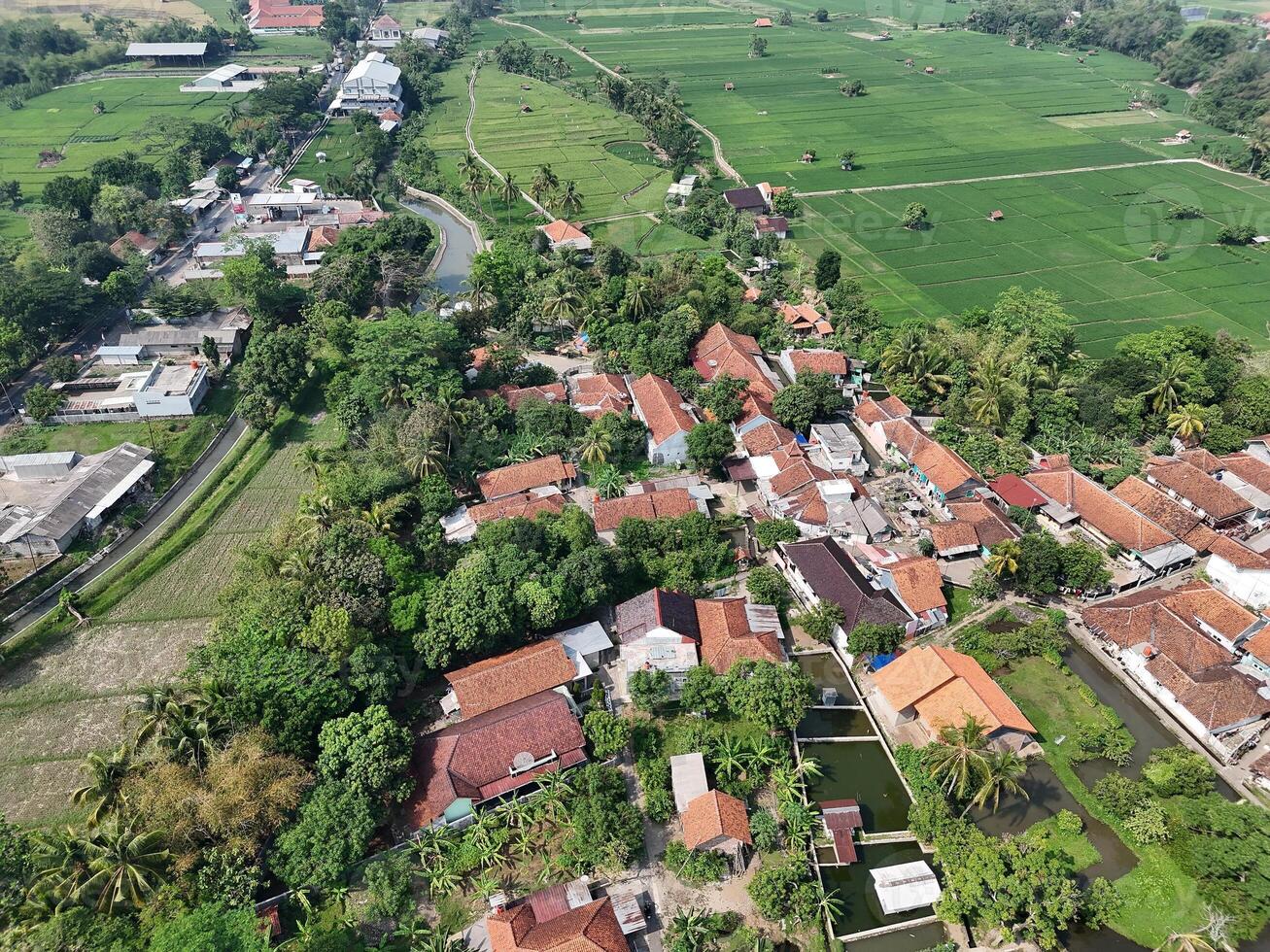 aerial view of a village in the countryside. rice fields around the village. photo