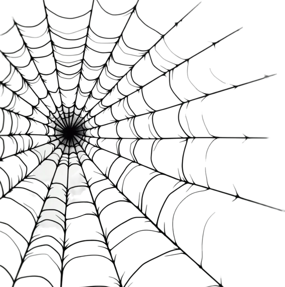 Spider Web Illustration for Halloween Decor png