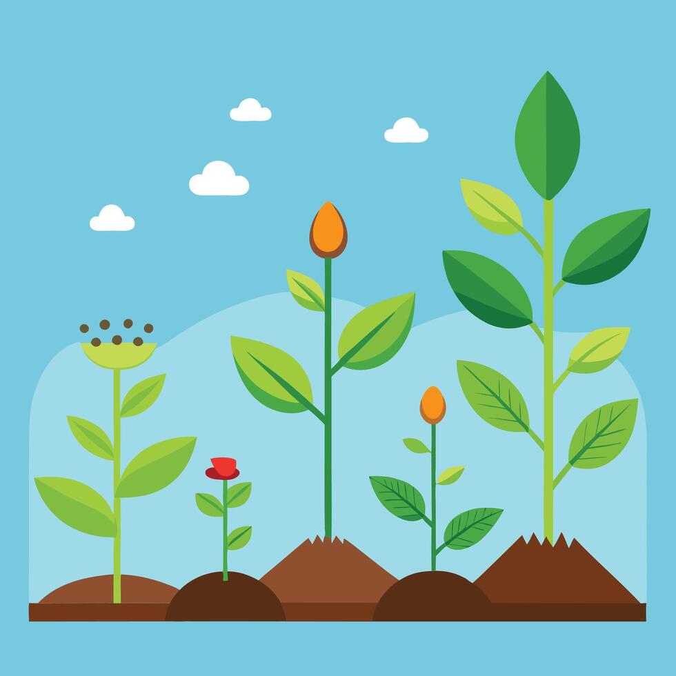 set of growing plant isolated on white background vector