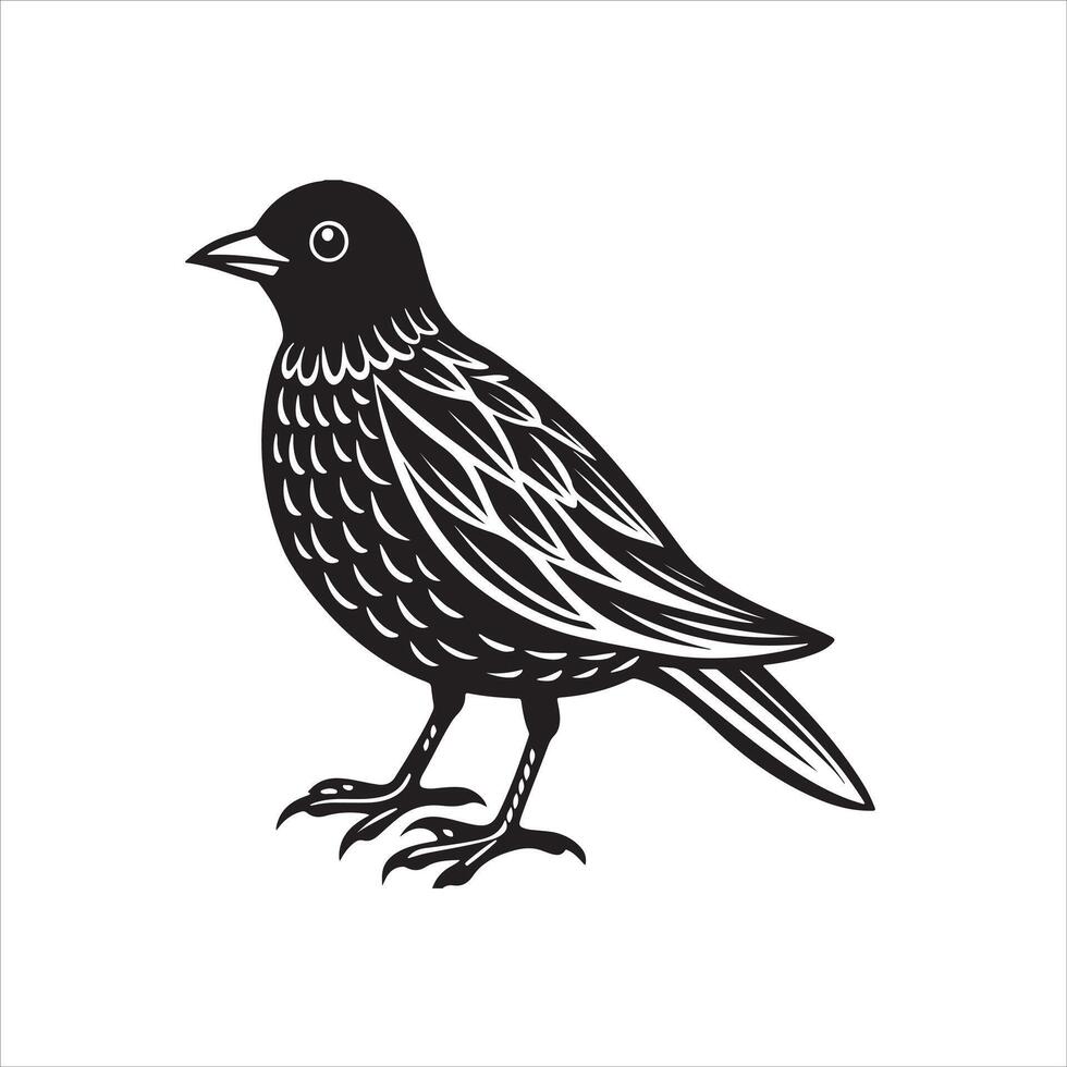 Black and white illustration of a bird with detailed feathers With White Background vector