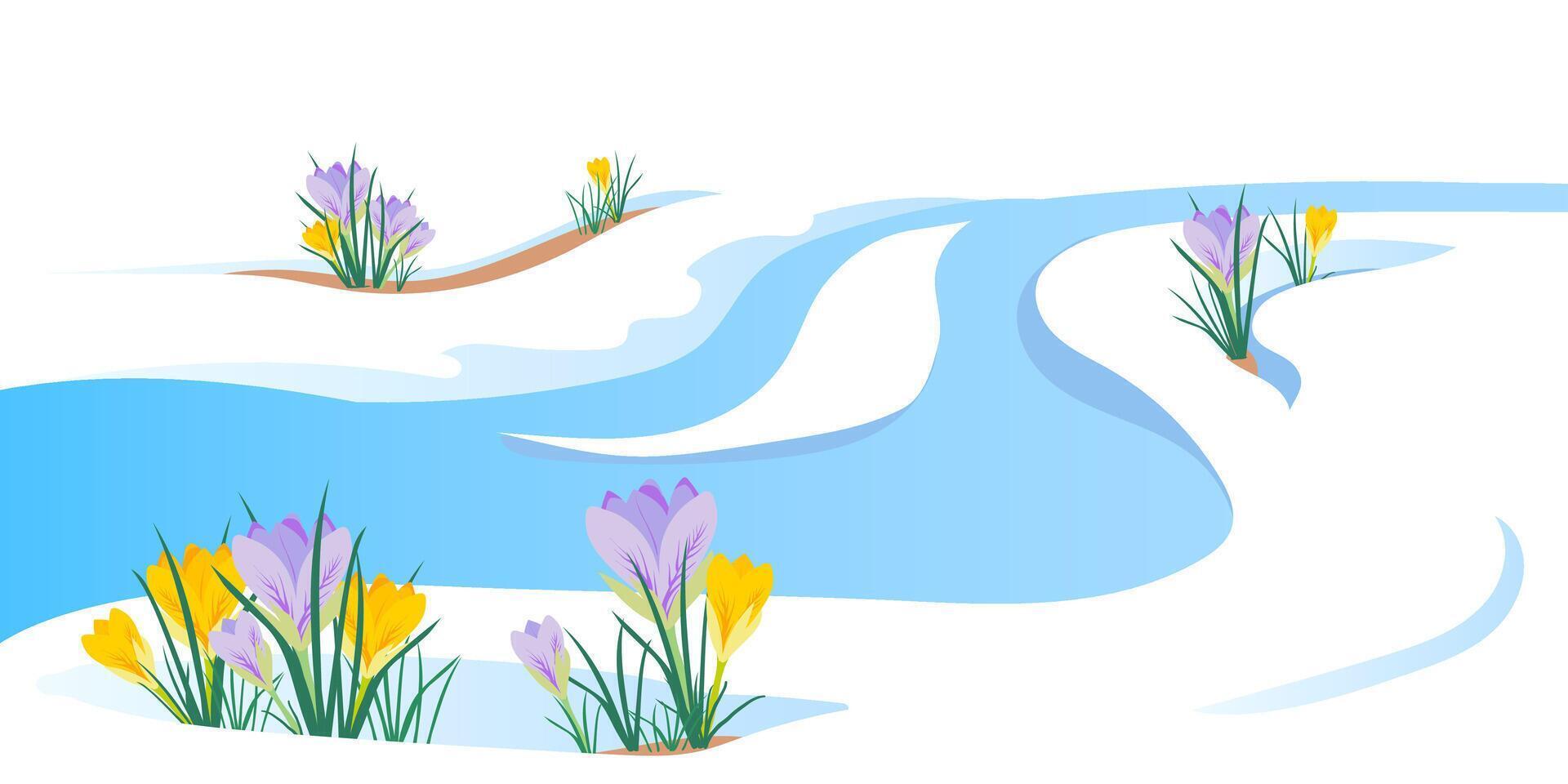 The concept of the arrival of spring and the awakening of nature after winter. Melting snow, streams and snowmelt, primroses, crocuses and spring flowers. illustration. End of the cold season. vector