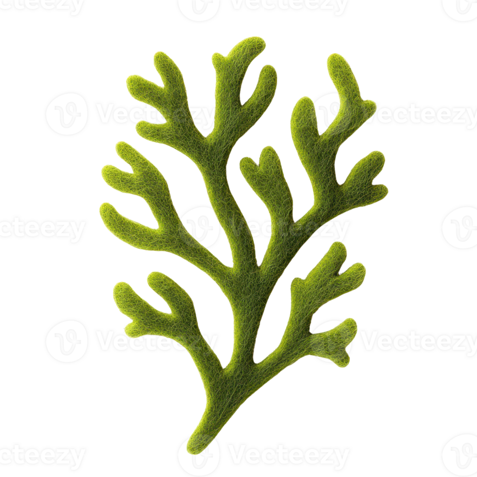 A beautifully detailed illustration of a green coral branch, showcasing intricate patterns and natural beauty in marine life. png