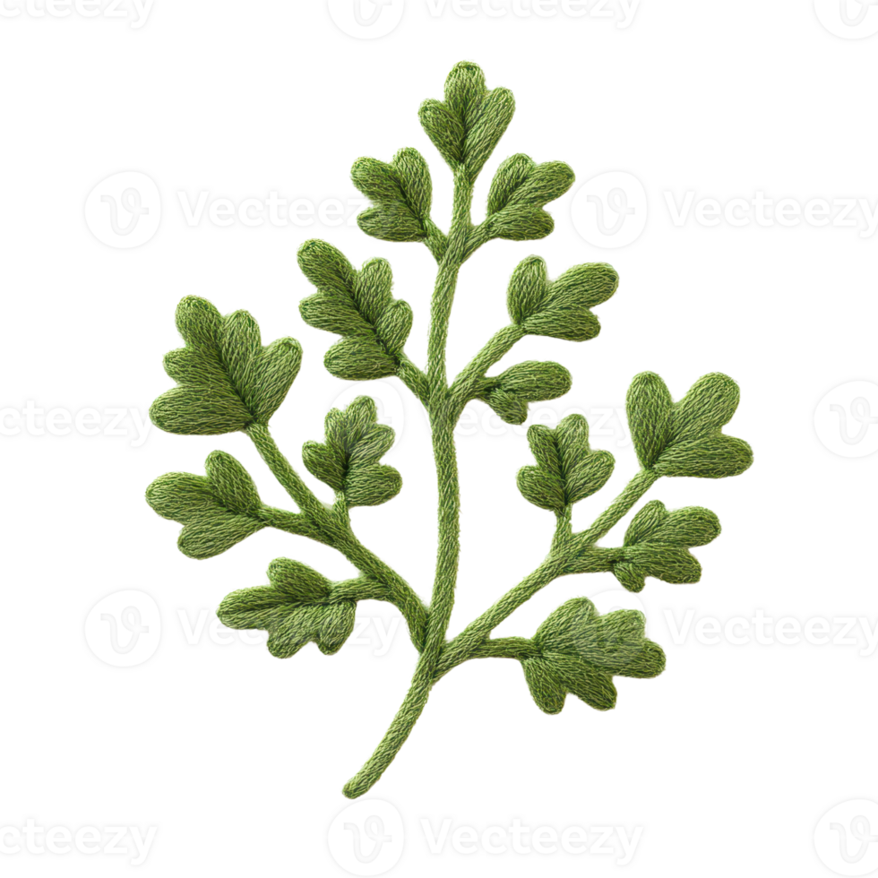 A vibrant green leaf branch showcasing intricate patterns and textures, perfect for botanical illustrations and eco-friendly designs. png