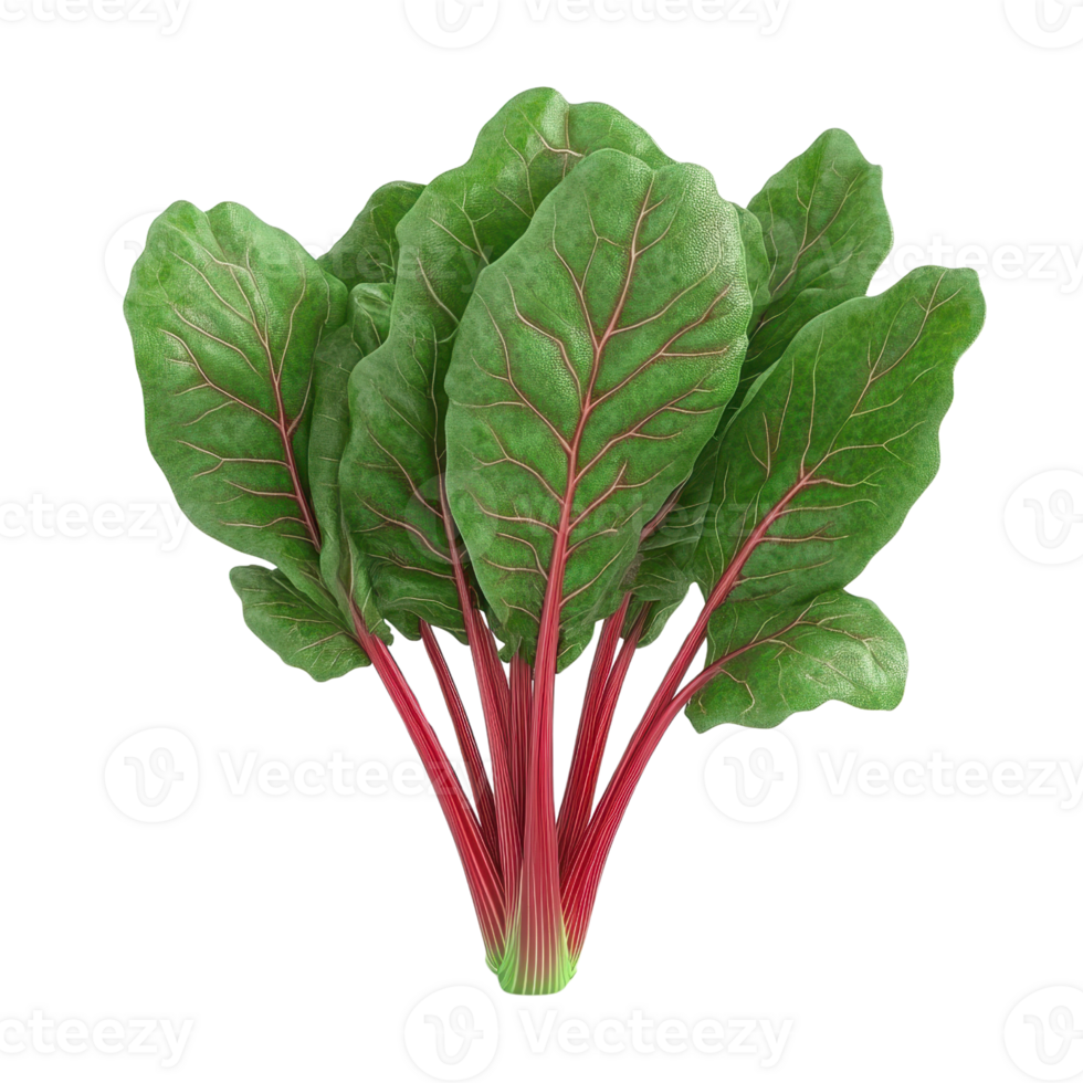 Fresh Swiss chard with vibrant green leaves and red stems, perfect for healthy recipes and nutritious meals. png