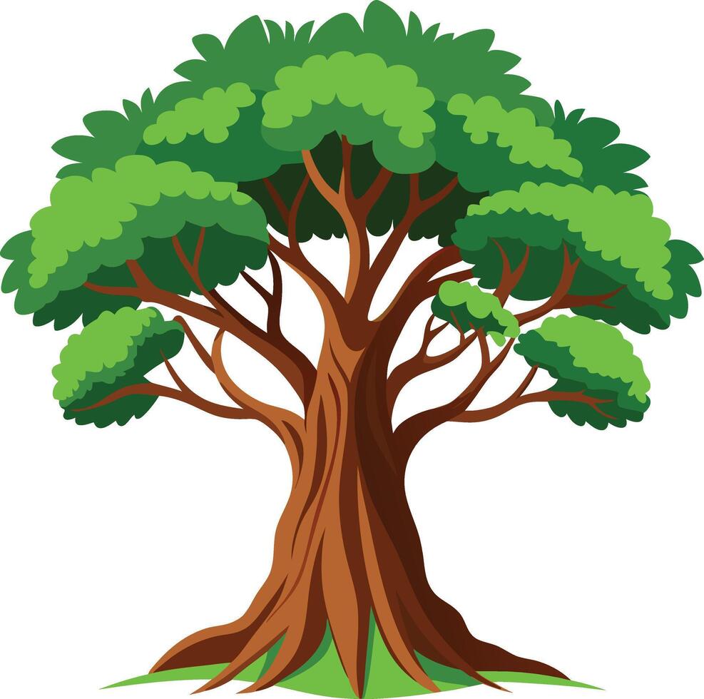 Illustration of A Banyan Tree vector
