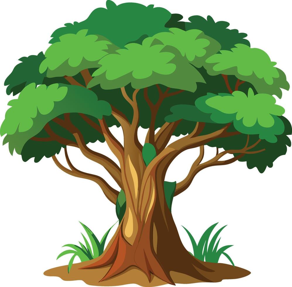 Banyan tree illustration design drawing vector